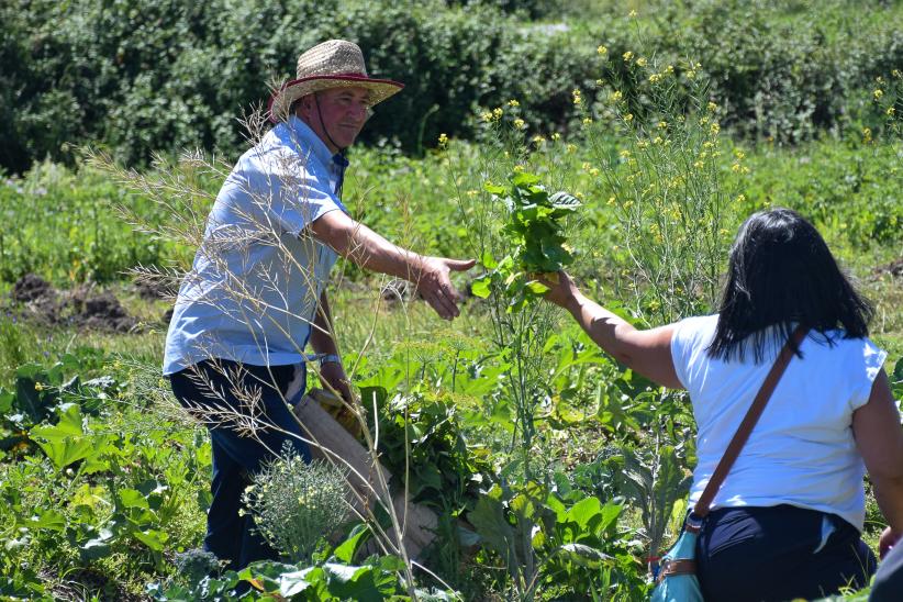 Promoción de la biodiversidad y sustentabilidad