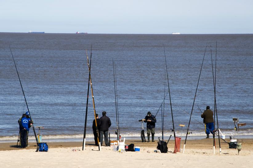 Playa Pocitos