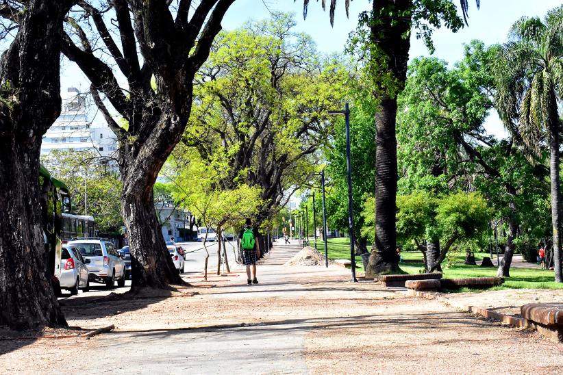 Obras en Parque Rodó