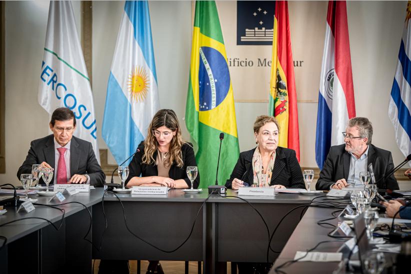 Fabiana Goyeneche, participa de reunión de la coordinación anual de Mercociudades