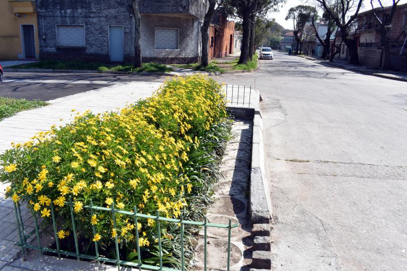 Jardin de LLuvia Florecido en Antonio Machado Guaviyu y Lorenzo Fernandez