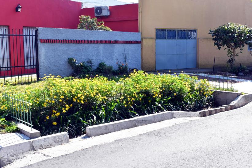 Jardin de LLuvia Florecido en Antonio Machado Guaviyu y Lorenzo Fernandez