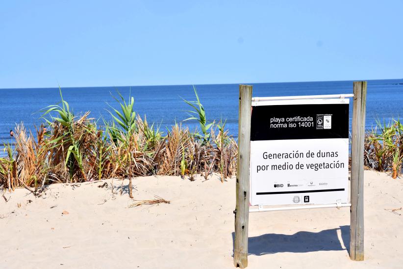 Conservación de Dunas