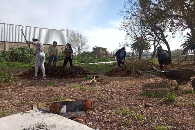 Proyecto Huerta en casa