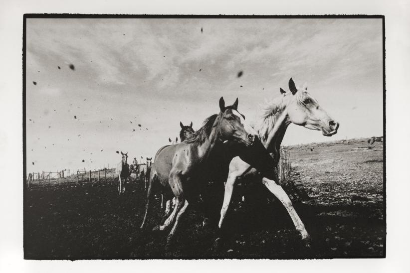 Exposición fotgráfica "Gauchos" 