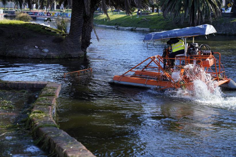 Limpieza del lago del Parque Rodó 