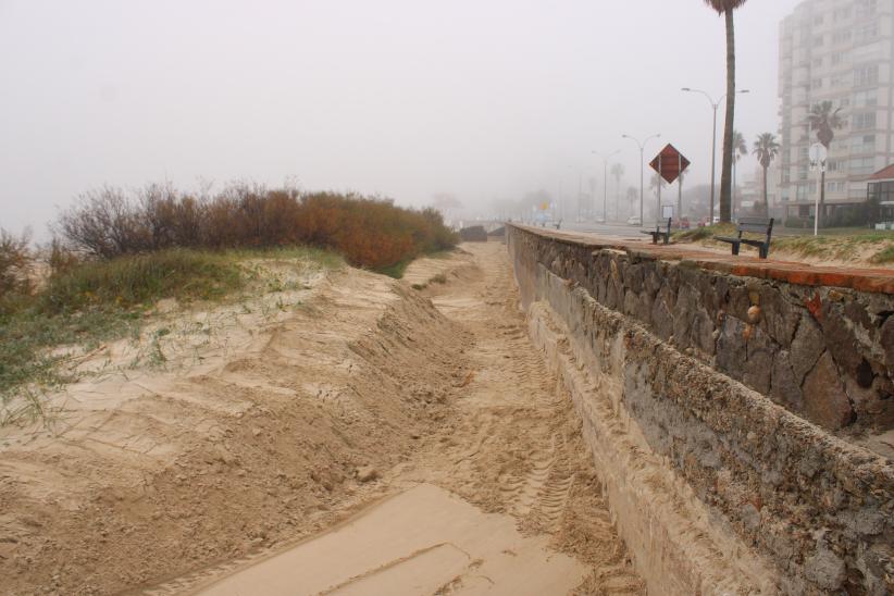 Trabajos de descalce de muro en playa Malvín