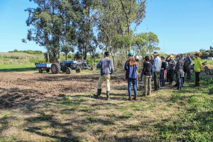 Plantación de frutales ecológicos en el PAGRO