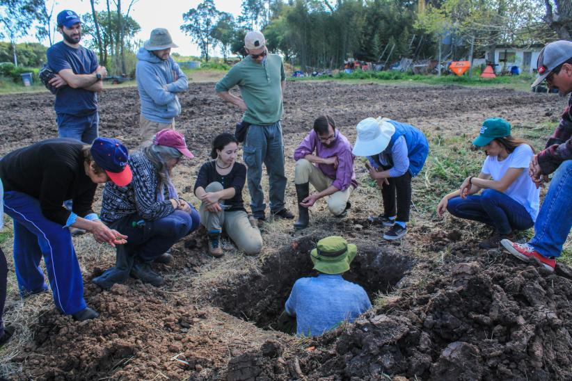 Plantación de frutales ecológicos en el PAGRO