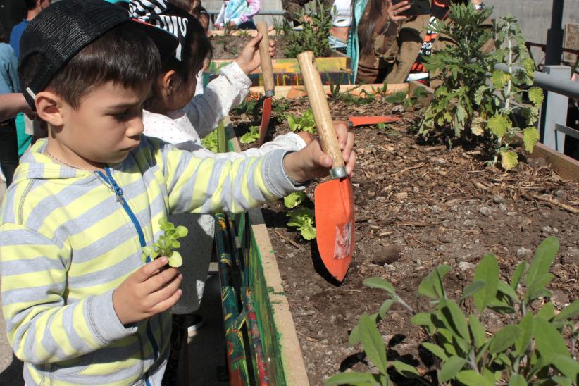 Huerta inclusiva en Parque de la Amistad 