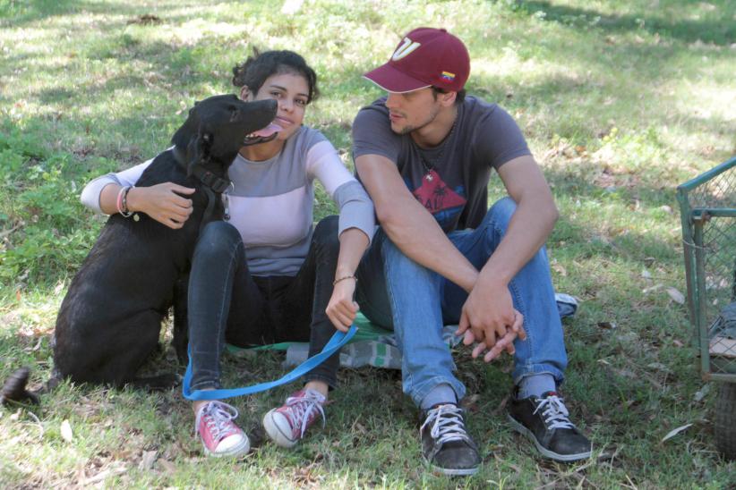 Jornada de castración de perros 