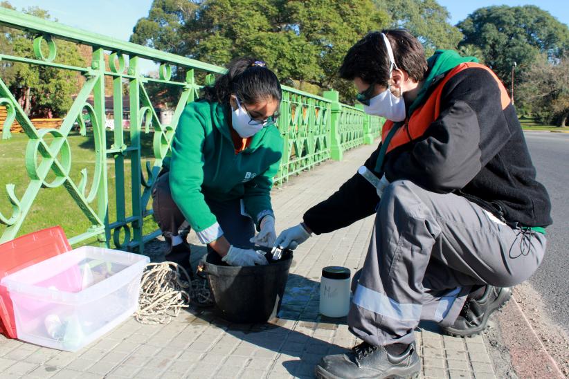 Evaluación de la Calidad y Control Ambiental