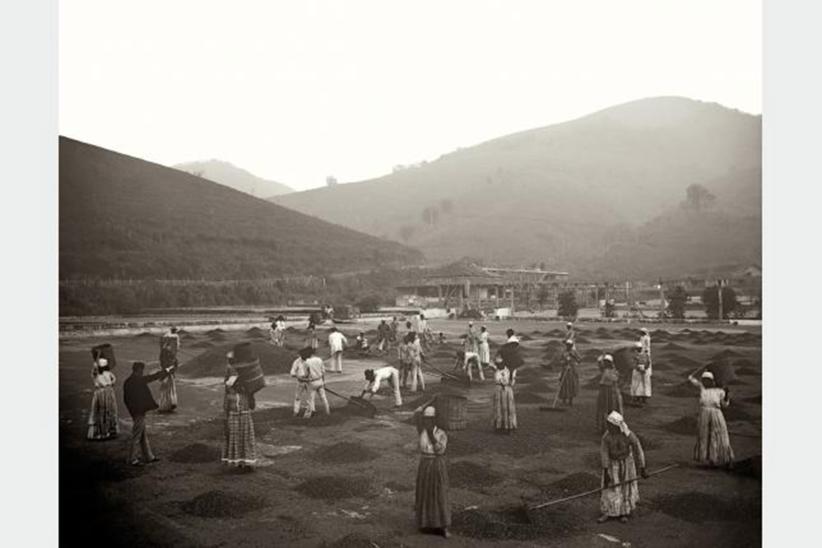 La negritud y la esclavitud en los archivos del Instituto Moreira Salles. Brasil