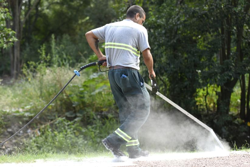 Fumigación ecológica