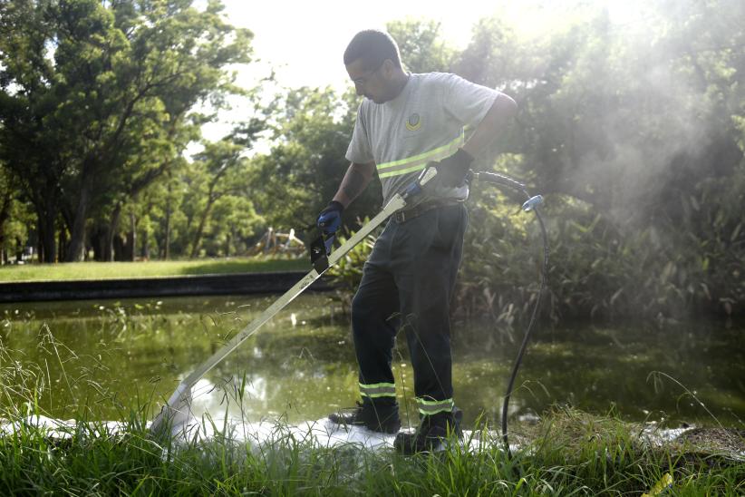 Fumigación ecológica