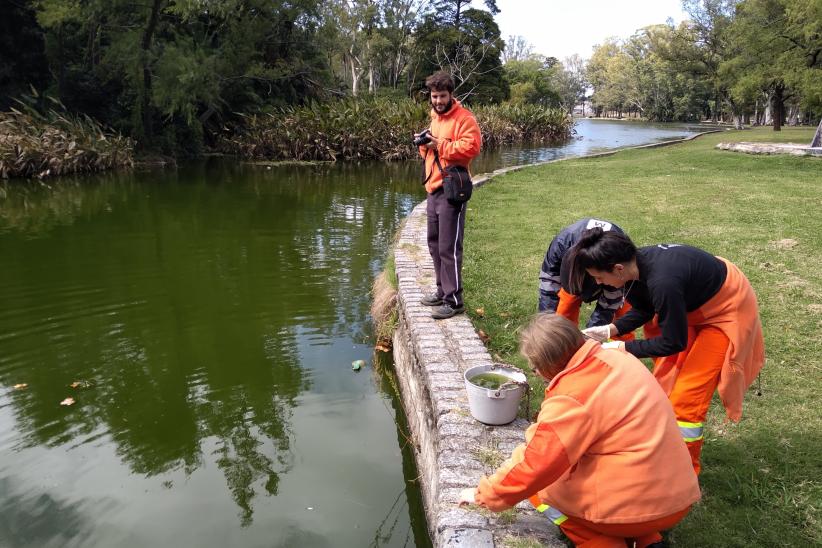 Monitoreo en el lago Parque Rivera