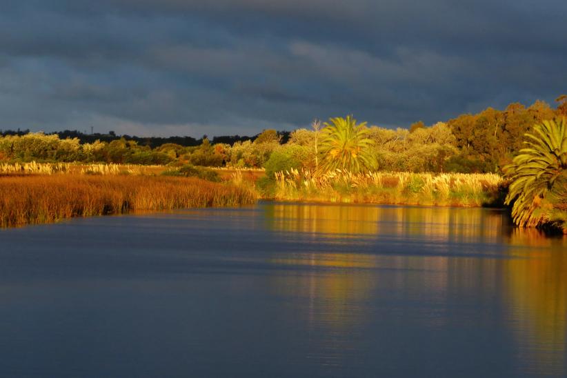 Tormenta en el bañado