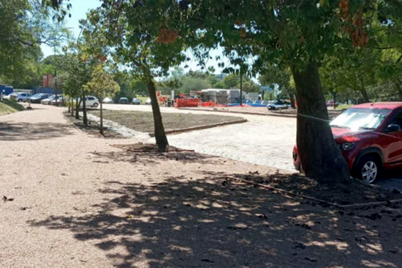 Veredas en Parque Batlle