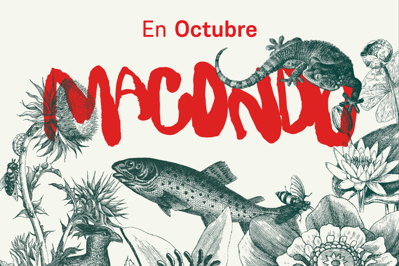 Macondo 