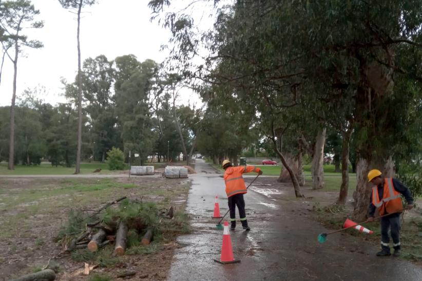 Cuadrillas de trabajo en zonas afectadas por temporal 