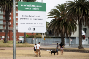 Área habilitada para perros sueltos. Rambla y Barrios Amorín.