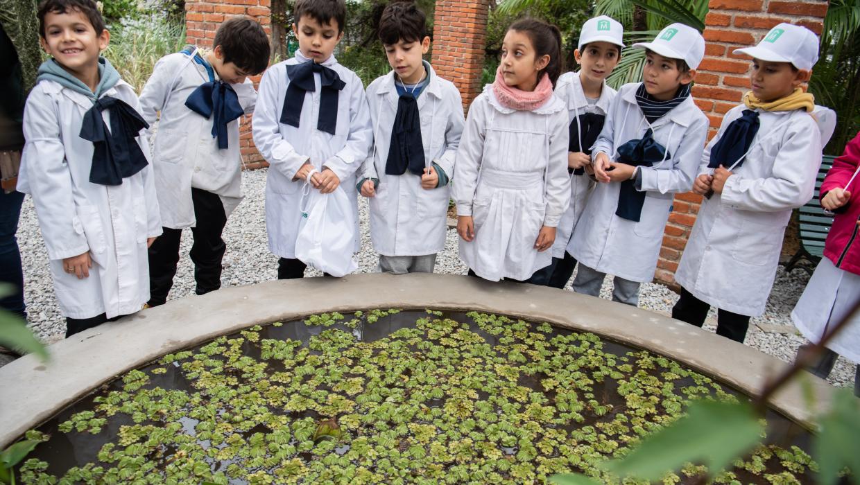 Remodelación del vivero y semillero Quinta Storacce
