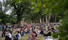 Cine en el Botánico