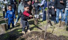 Inauguración de obras del Presupuesto Participativo  en la plaza Gerónimo Izetta