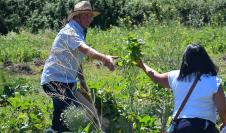 Promoción de la biodiversidad y sustentabilidad