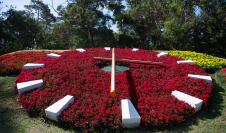 Inauguración del reloj de flores del parque Rivera,  8 de Noviembre de 2024