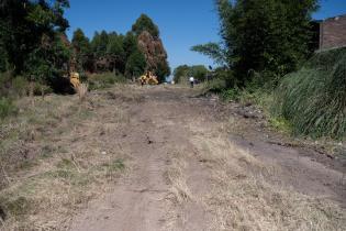 Cortafuegos en Barrio Fénix