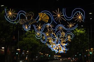 20250121dicimouyit2587.jpg Luces en 18 de Julio por Carnaval