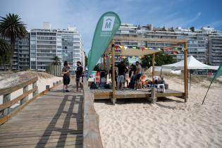 Actividades de verano para personas con discapacidad en Playa Po