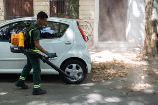 Tareas de limpieza en calle Emilio Frugoni e Isla de Flores