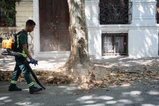 Tareas de limpieza en calle Emilio Frugoni e Isla de Flores