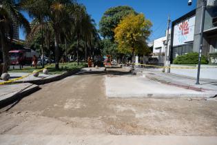 Avance de obras en Av. Dr. Luis Alberto de Herrera en el tramo e