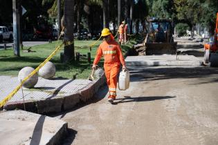 Avance de obras en Av. Dr. Luis Alberto de Herrera en el tramo e