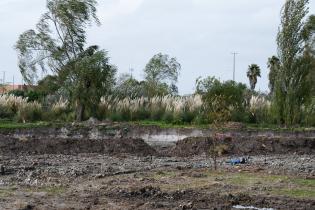 20250411dicimouyit3097.jpg Jornada de plantación en humedal del arroyo Pantanoso , 11 de