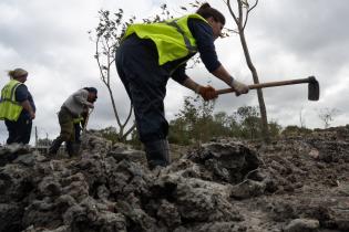 20250411dicimouyit3218.jpg Jornada de plantación en humedal del arroyo Pantanoso , 11 de