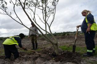 20250411dicimouyit3247.jpg Jornada de plantación en humedal del arroyo Pantanoso , 11 de