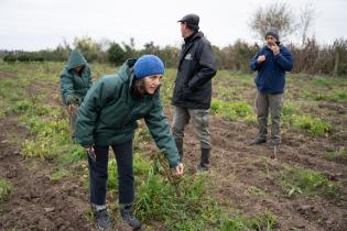 Montevideo Rural : Podas en frutales de hoja caduca