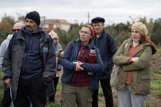 Montevideo Rural : Podas en frutales de hoja caduca
