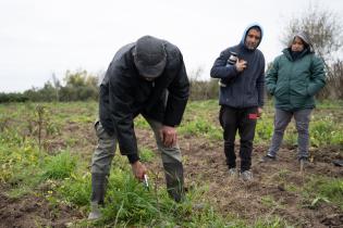 Montevideo Rural : Podas en frutales de hoja caduca