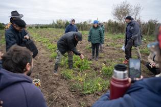 Montevideo Rural : Podas en frutales de hoja caduca