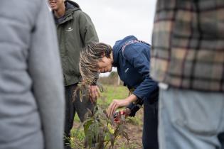 Montevideo Rural : Podas en frutales de hoja caduca