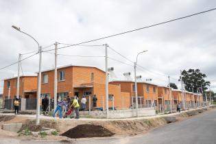 20250829dicimouyit4557.jpg Plantación a cargo de la comisión verde de los vecinos y vecin