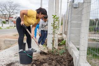 Plantación a cargo de la comisión verde de los vecinos y vecin