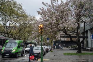 20250919dicimouyjmr1310.jpg Centro de Montevideo