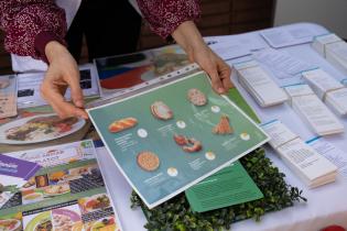 Directora de Salud María Noel Battaglino, participa de activida