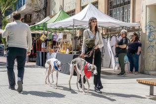 Feria de la Economía Social y Solidaria en la peatonal Sarandí